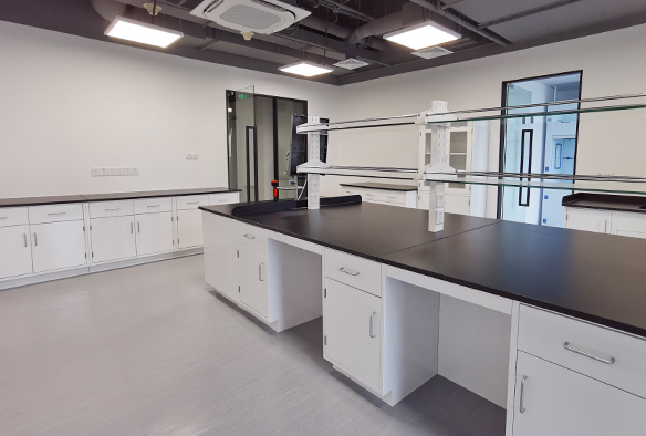 P2實(shí)驗(yàn)室裝修 P2實(shí)驗(yàn)室裝修